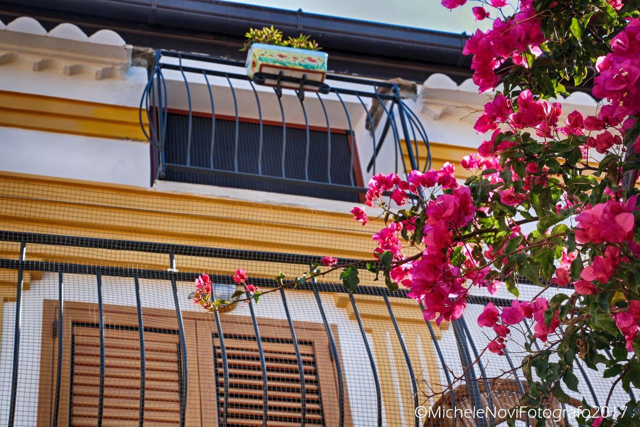 La Casa Di Ivana San Nicola Arcella Exterior foto